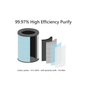 Filtre Pour Purificateur BORA – Multicouleur