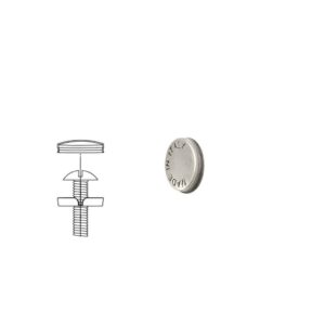 1 Kit composés de  50 cache-vis argent vieilli Lot de 25