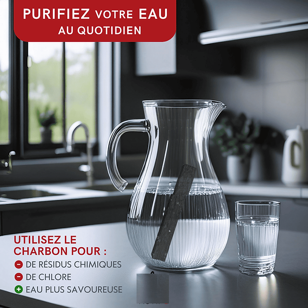 Filtres à eau pour gourdes – Bâtons de charbon végétal français - Noir, Charbon actif - immagine 3