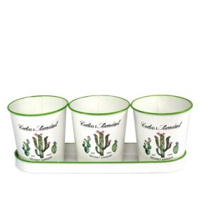 Pots métal Lot de 3+ plateau cactus – Blanc