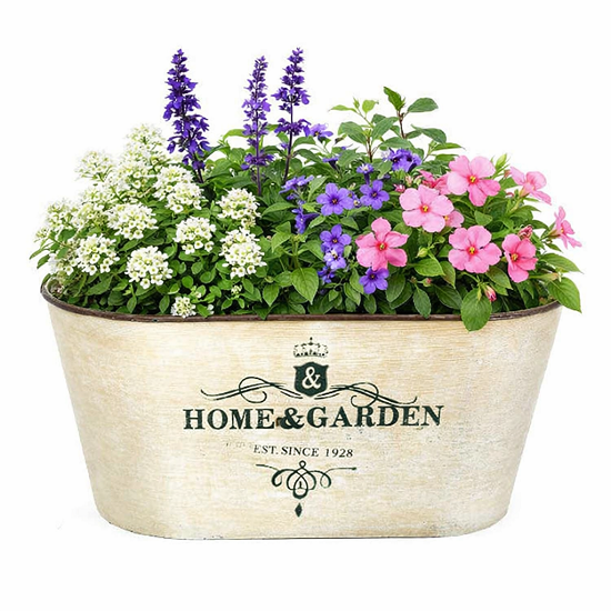 Jardinière ovale en métal peint beige 23x12 x h10cm - Fer – Image 2