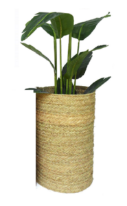 Couvre les pots cylindrique décoratif en sparte naturelle 40cm de diamètre x 63cm de hauteur sans fond – Beige, Osier