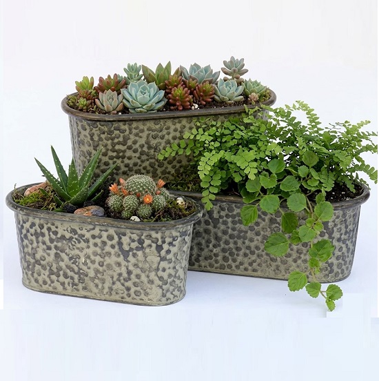 Jardinières ovales en métal 2 de 20x10,5 x h9cm plus 2 de 25x10,5 x h9cm plus 2 de 30x10,5 x h9cm lot de 2 - Gris / argent – Image 2